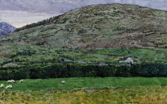 Connemara Mountains