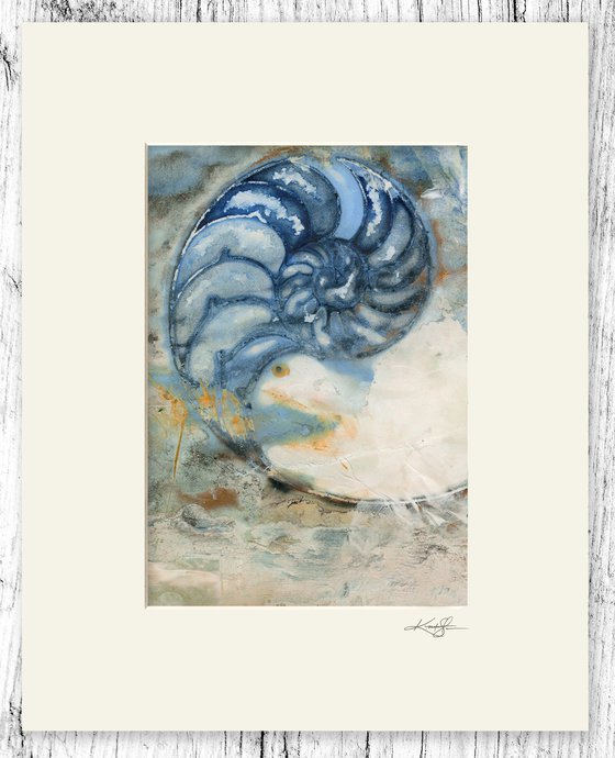 Nautilus Shell 996