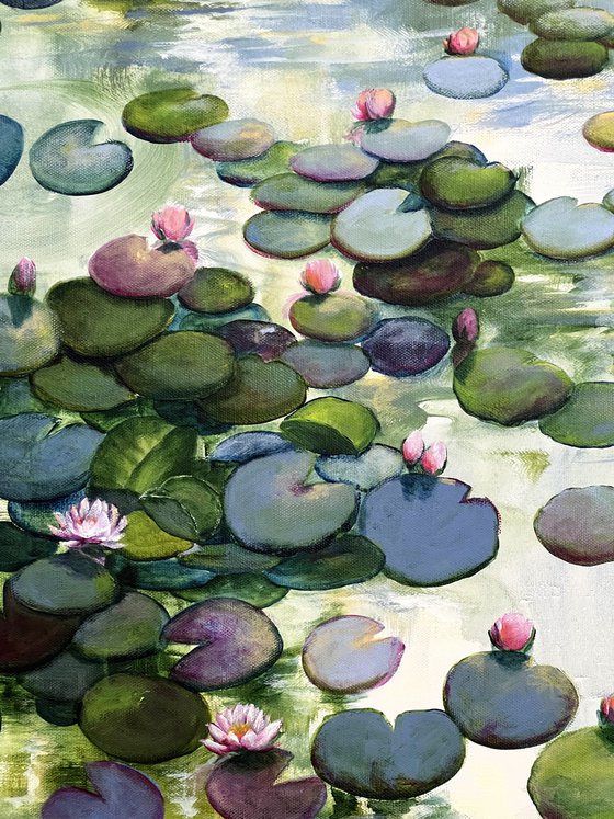 Always Waterlilies 8