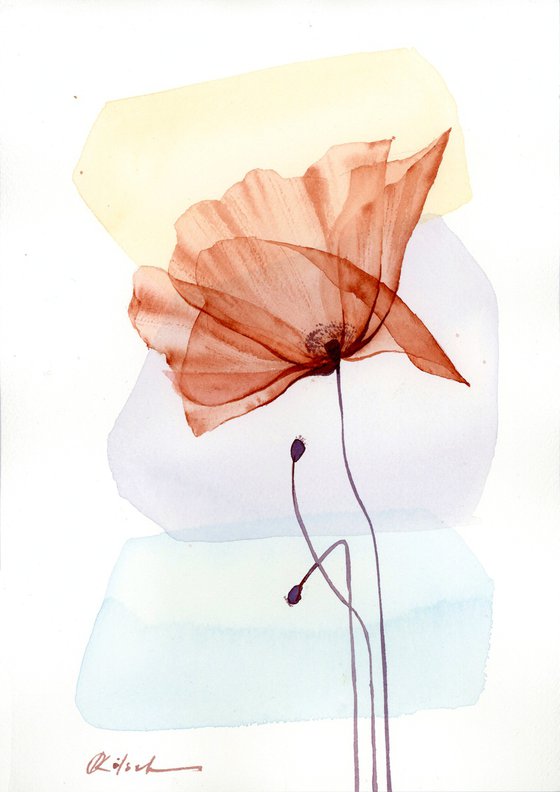 Gentle Poppy Flower