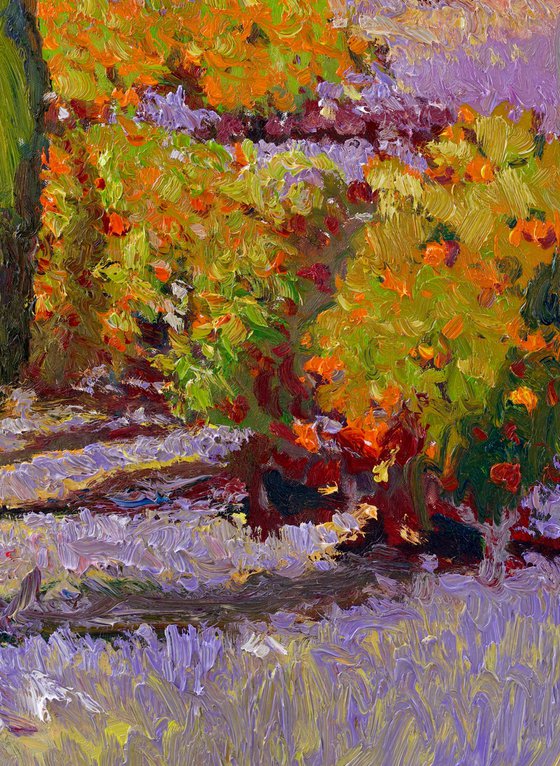 Through the Orange Grove