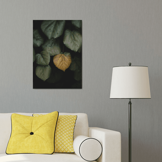 Winter leaves II | Limited Edition Fine Art Print 1 of 10 | 40 x 60 cm