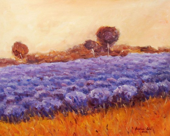 Lavender field