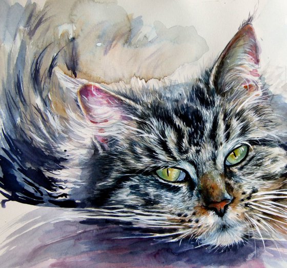 Resting cat at home