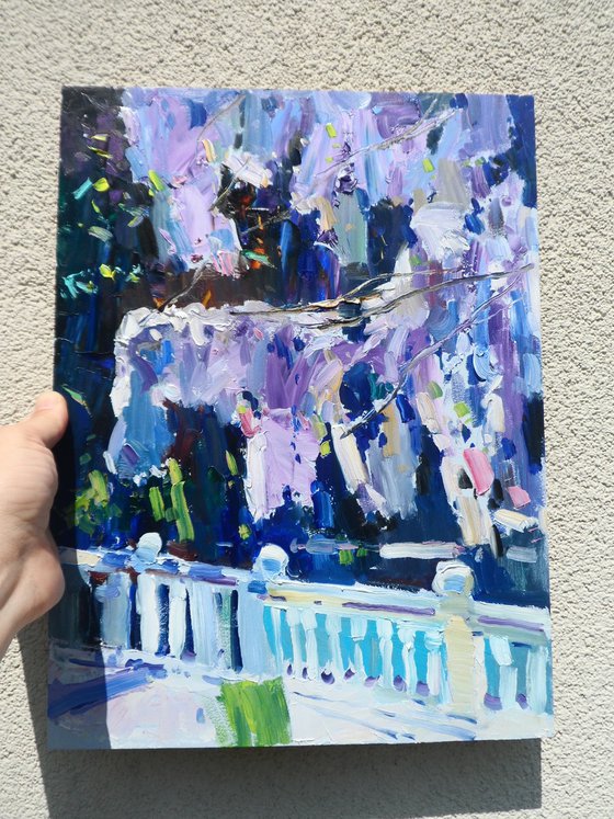 " Wisteria Flowers "