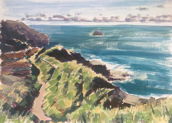 High above Trebarwith Strand