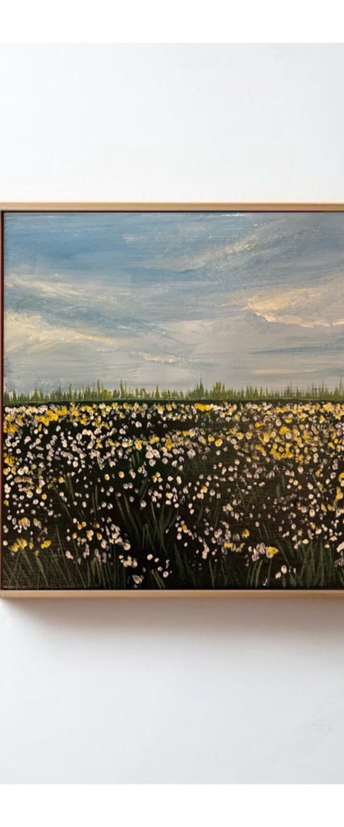 Fields of gold by Amelia Taylor
