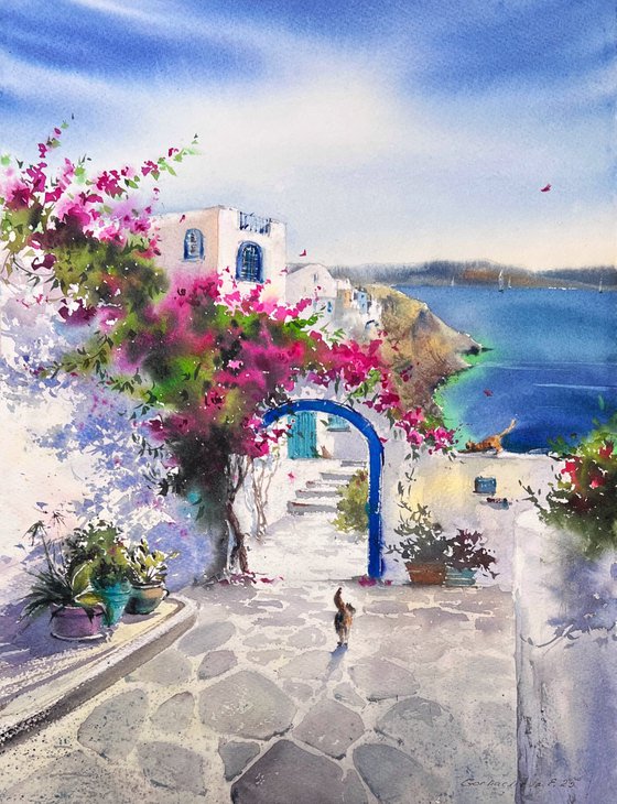 Greek Dreams of Bougainvillea