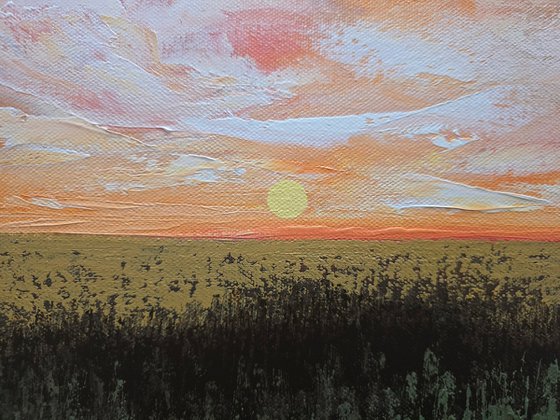 Beneath a Painted Sky