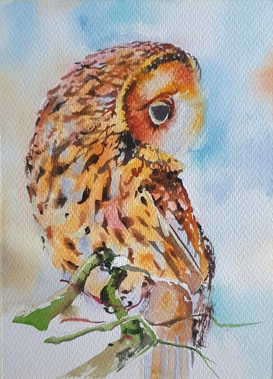 Autumn guardean ( watercolour Owl )