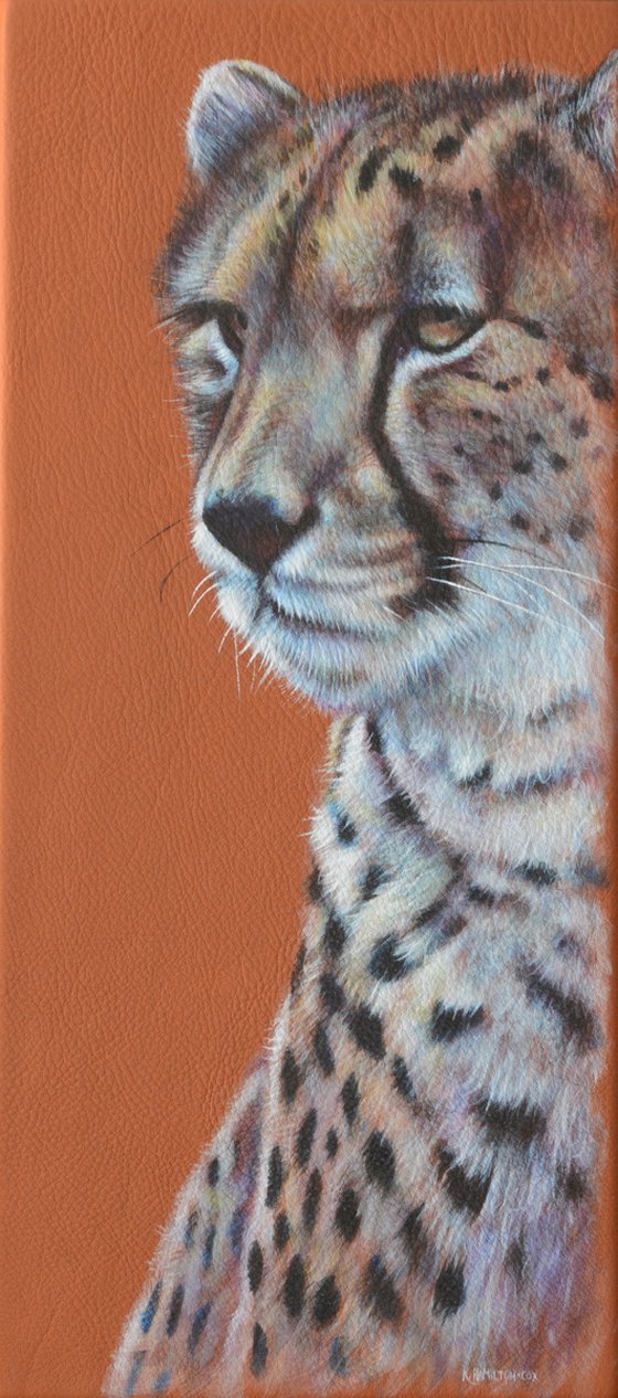 Watchful Cheetah