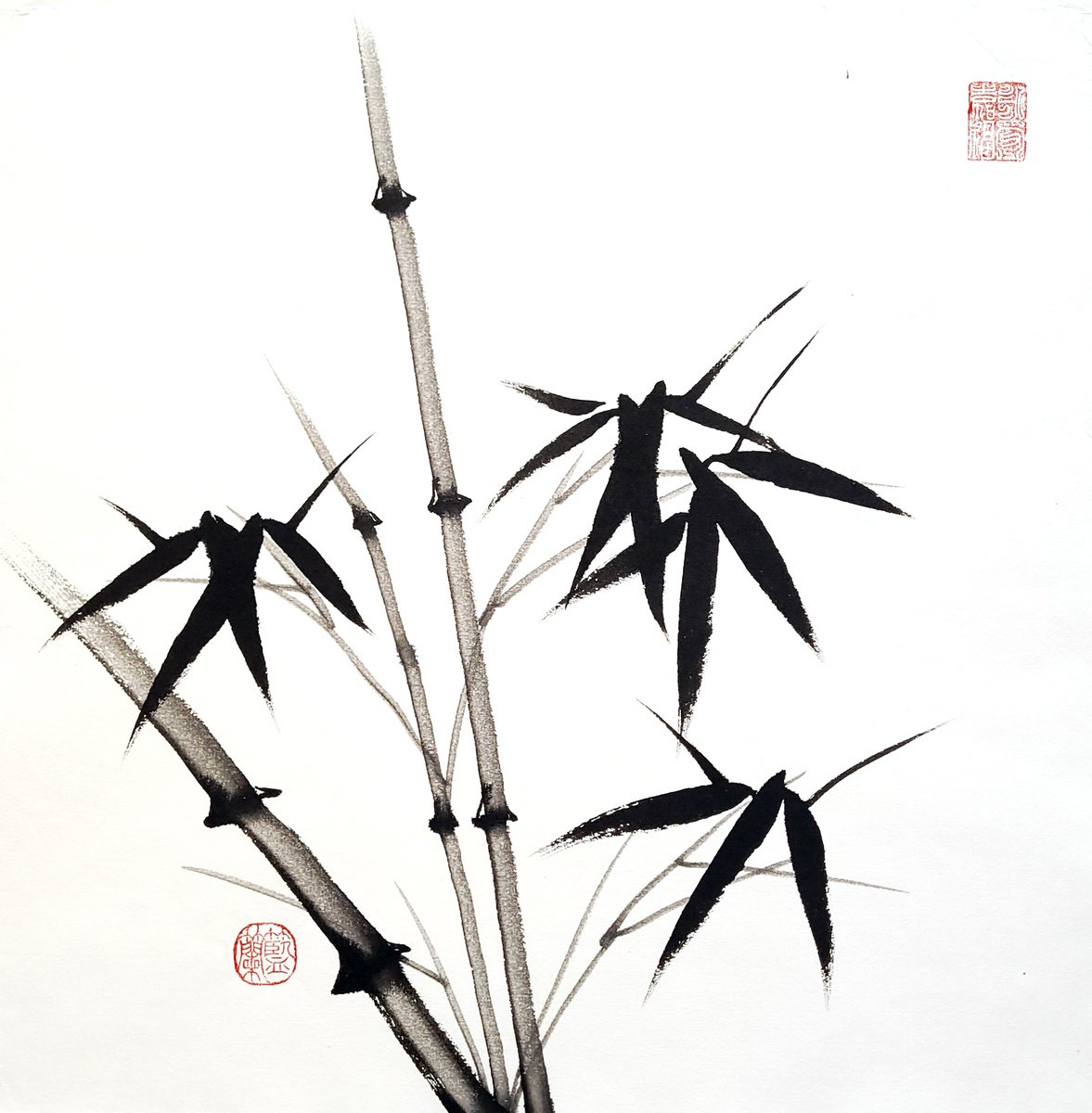 Impressionistic Botanical Ink Drawing By Ilana Shechter, 14 X 14, Three Trunks Of Bamboo, Original Artwork