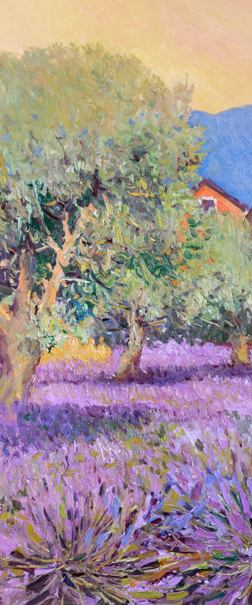 LAvender and Olive Trees by Suren Nersisyan