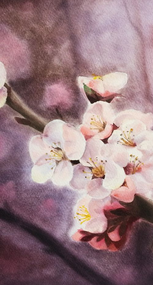 Cherry Blossoms -  Sakura - Ch by Olga Beliaeva Watercolour