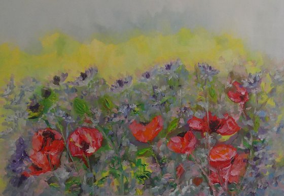 Garden Poppies