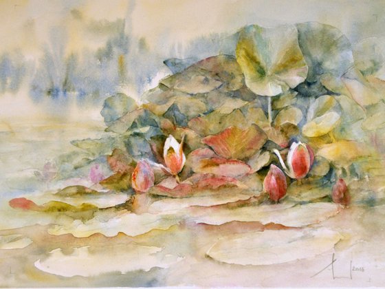 BLOOMING LAKE original  watercolour 40x30