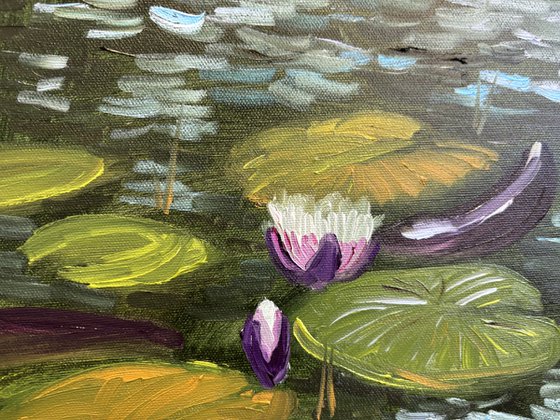 Water Lilies in the Sunlight