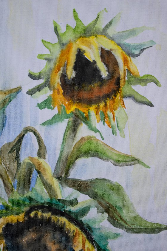 Sunflowers