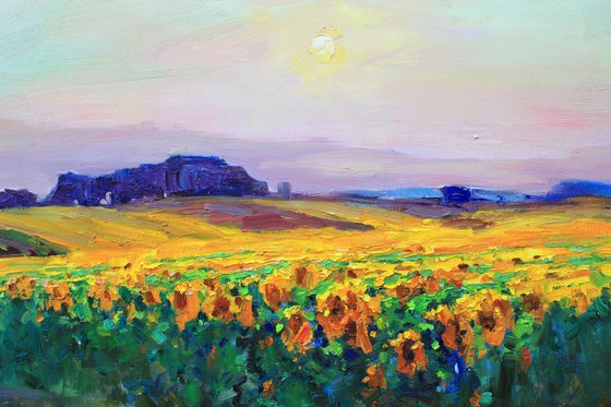 Sunflower field