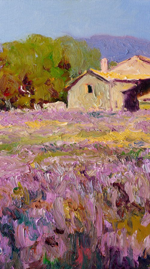 Lavender, French Village by Suren Nersisyan