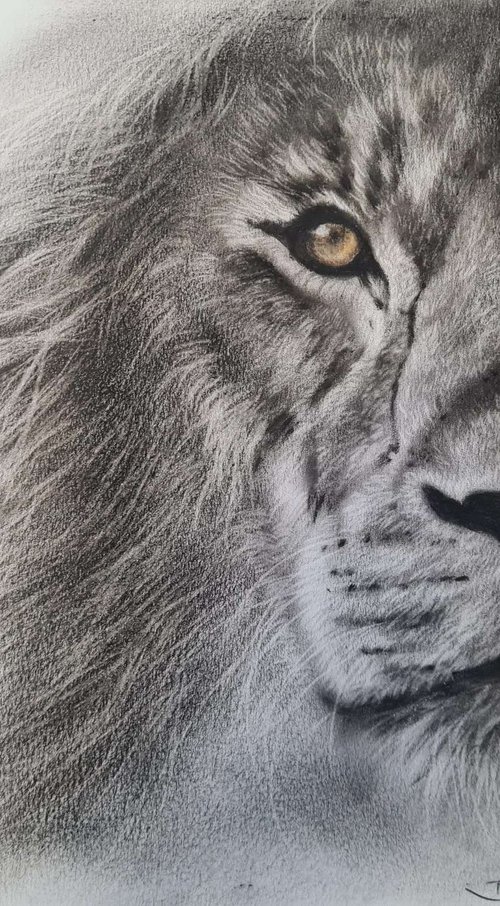 Oil painting reasilm realistic on paper Lion by Deimante Bruzguliene