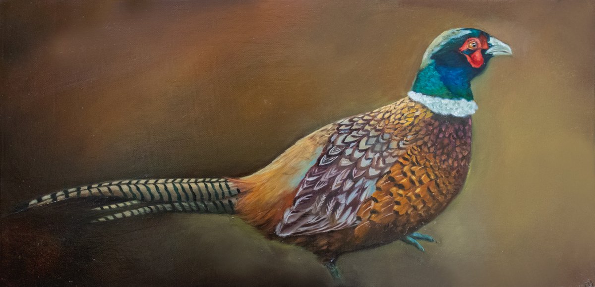 Pheasant by Eva Chen