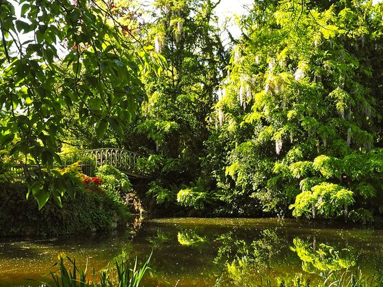 Arboretum 3, Vallée-aux-Loups