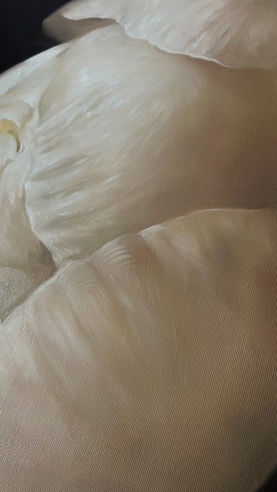 Old Holland flower 7