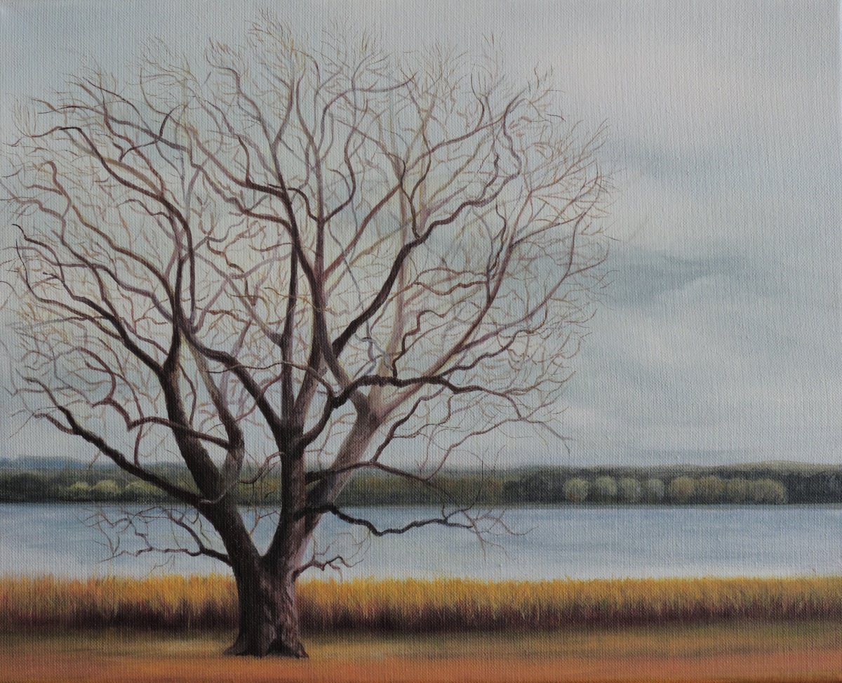 Photorealistic Landscape Acrylic Painting By Laura Cabral, 12 X 9", "Laguna De Los Padres", Original Artwork