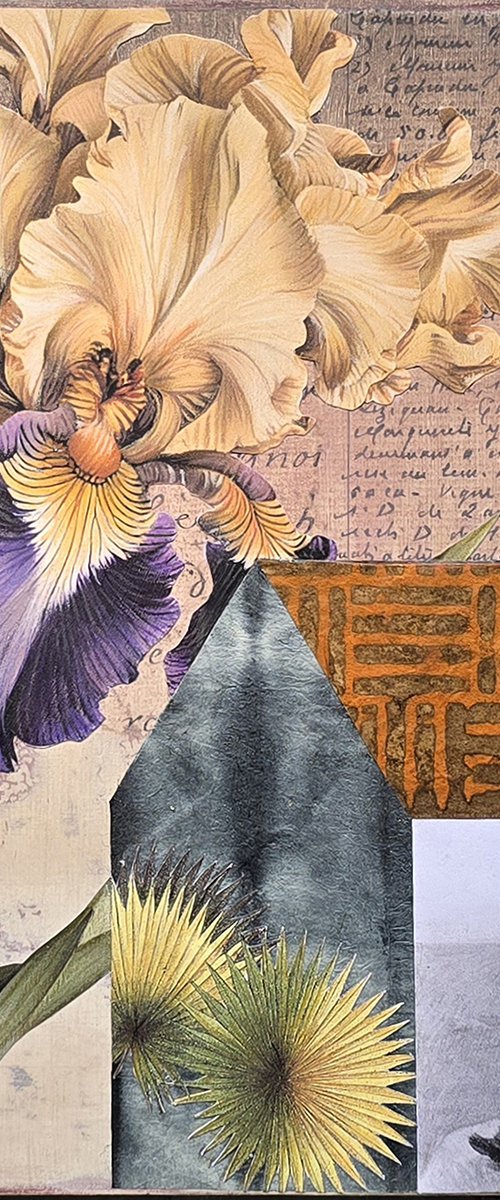 (...Many, Many Times) by Susan Savory