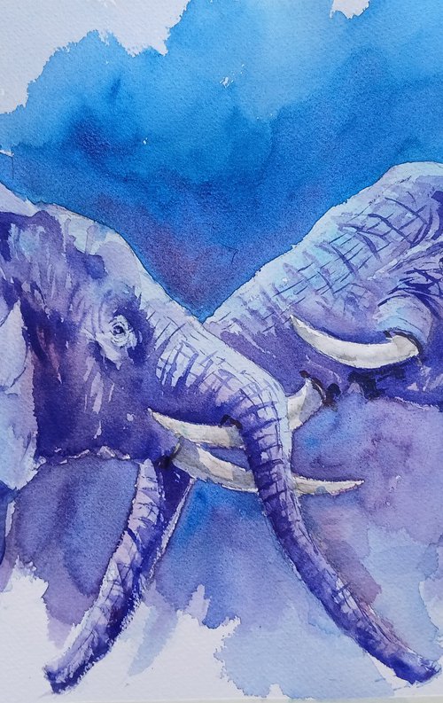 elephant 29 by Giorgio Gosti