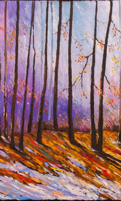 Autumn, the first snow. by Ihor Bychkivskyy
