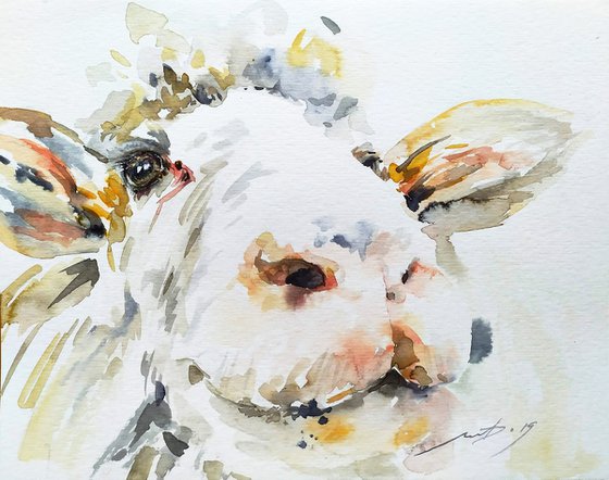 Sketch "Cute lamb"