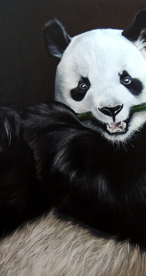 Panda with bamboo by Kakajan Charyyev