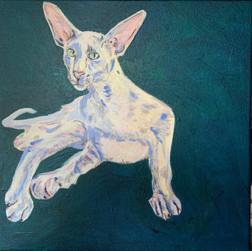 “White Oriental Cat” by Hanna Bell