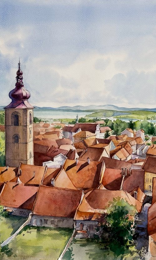 Ptuj city view by Yuliia Ludanova