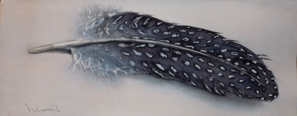 A Feather by Ninni watercolors