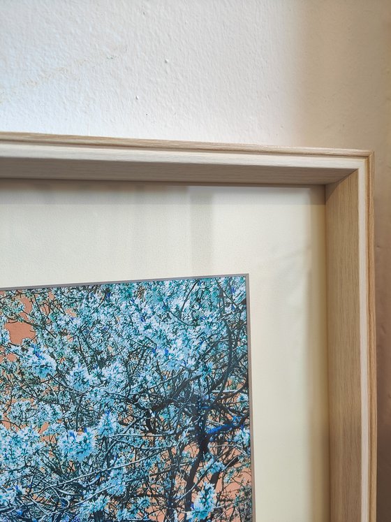 (FRAMED) Nature and Seasons