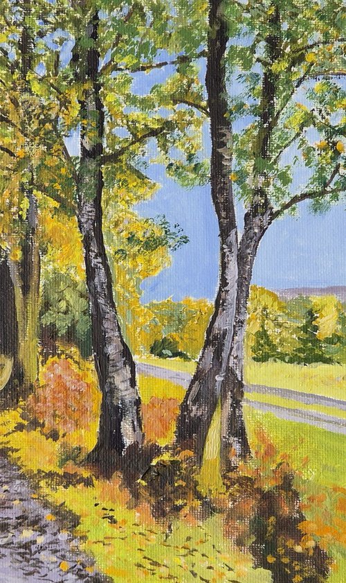 The Ashdown Forest: A Sussex Landscape by Chris Marshall