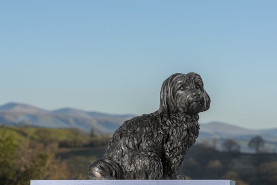 Maltese Terrier Bronze Resin