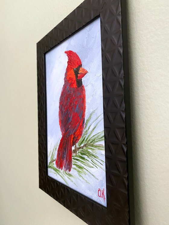 Lovely cardinal