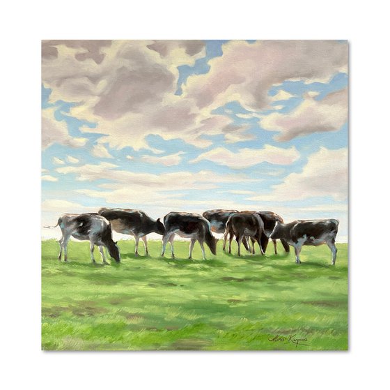 Cows in a field