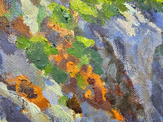 Violet Shadows, Rocky Point