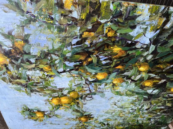 LEMON TREE