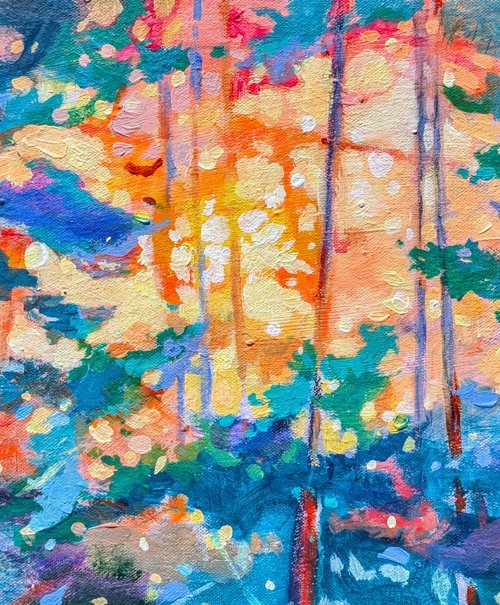 Light in the trees. by Kerri McCabe