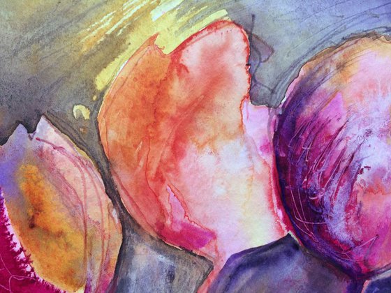 Tulip Love II