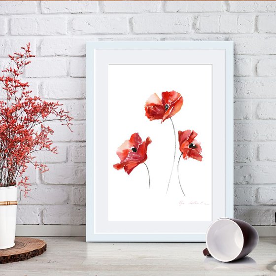 Red Poppies 3