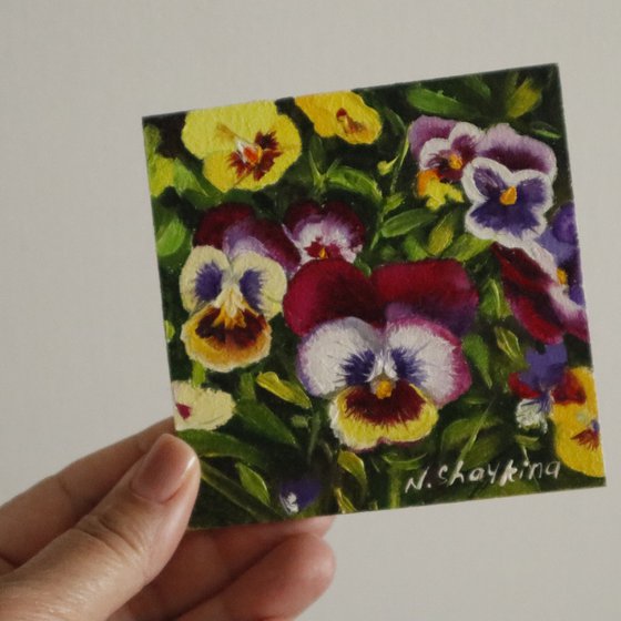 Framed Pansy Miniature Set