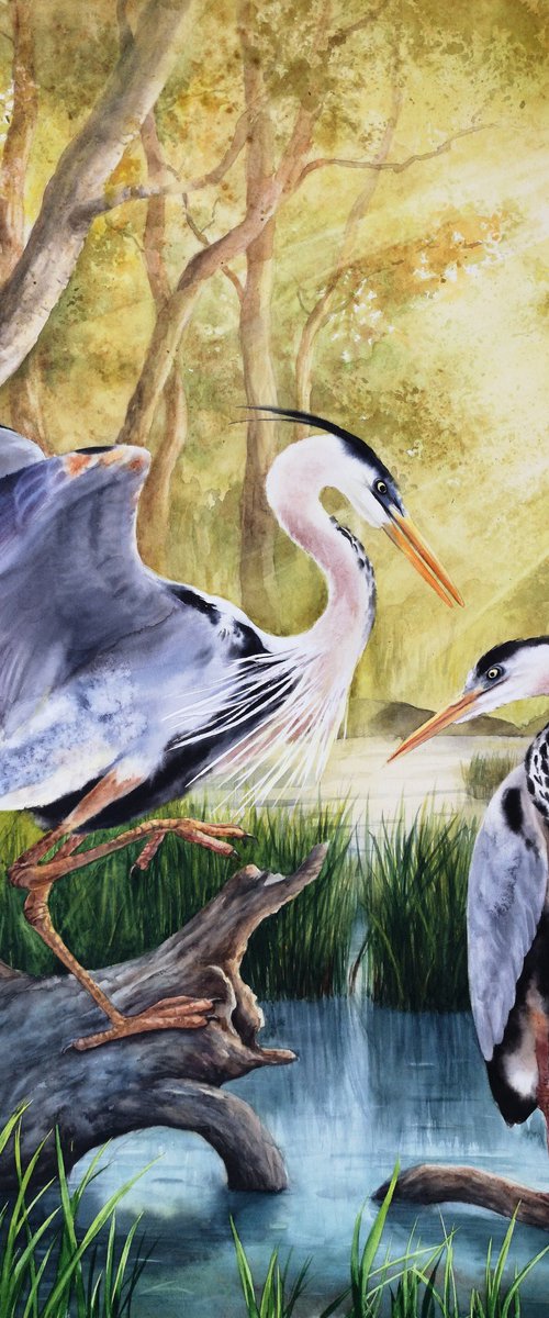 Pair of Great Blue Herons by Olga Beliaeva Watercolour