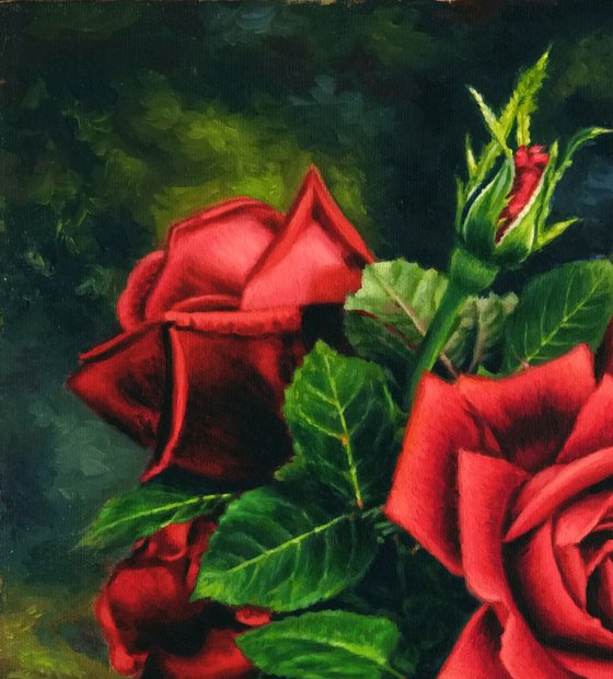 Red Rose Flowers